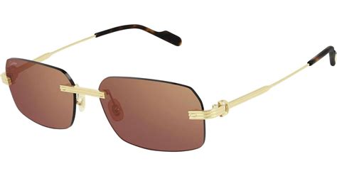 cartier ct0271s 004|Cartier CT0271S 004 Sunglasses .